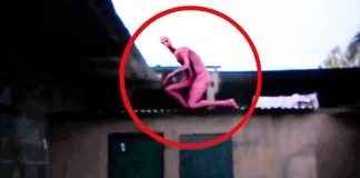 20 странных существ, снятых на видео