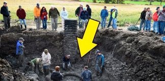 Невероятно! Обычный фермер, занимаясь возделыванием земельного участка, выкопал нечто!